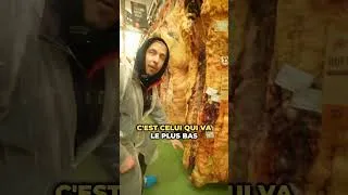 Miniature : Un boeuf de Galice de 813 kilos ... 🤠👀
