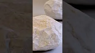 Miniature : L'Arte Povera et la nature 🌿