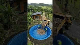 Miniature : Avant / Après : Transformation incroyable d'une piscine