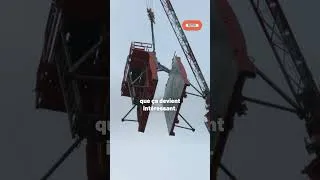 Miniature : Déplacer plusieurs tonnes à 50 mètres de haut… sans même voir où on les pose | Bouygues Construction