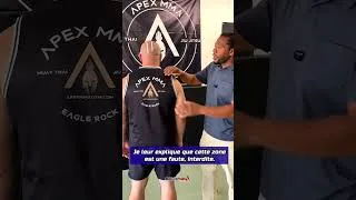 Miniature : Herb Dean, l'arbitre du combat Gane vs Pereira, répond à Alex concernant ses critiques.