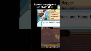 Miniature : il prend des pigeons en photo 💀 🥀