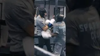 Miniature : Notre CHAMPION en SPARRING ! - 🥊 #boxing #boxe #boxingtraining #boxingsparring