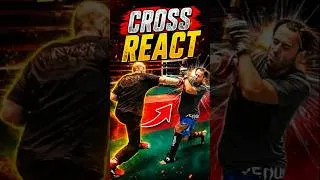 Miniature : Cross reaction 🥊😉