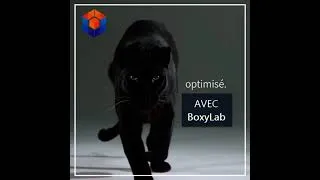 Miniature : BoxyLab avoir un chat c'est bien mais avoir un tigre c'est beaucoup mieux