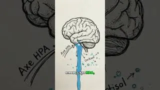 Miniature : Saviez-vous que se sentir plus vieux peut doubler le risque d'insomnie?#shorts
