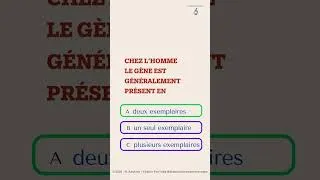 Miniature : Quiz Sur Les Notions Gène - Allèle
