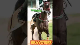 Miniature : Quinté 22 Mai : L'outsider qui va tout casser ! 🚀 🏇 #turf #quinté #pronostic