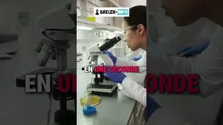 Miniature : Ce spray coréen arrête une hémorragie mortelle en 1 SECONDE !  Révolution médicale