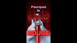 Miniature : Pourquoi le sang est rouge???