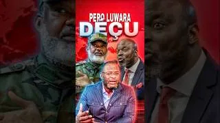 Miniature : pero luwara et kalonji #rdc #actualitérdc