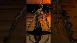Miniature : Surface-#Electronic#AmbientElectronic #Dreamwave #oceanmusic  #RelaxingMusic #chill #Atmospheric