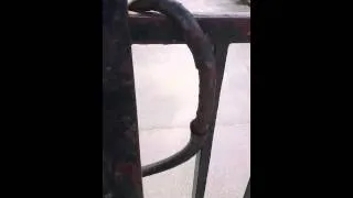Miniature : Ça ne sert à rien !
