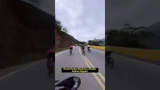 Miniature : Cycliste pro vs cycliste amateur