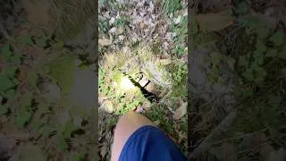 Miniature : Tu irais là-dedans ?! 😨