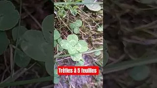 Miniature : j'arrête les vidéos, j'ai gagné au loto