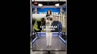 Miniature : 👉 Il Vole Le Chat D’Une Famille… La Caméra Filmait Tout 😳