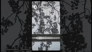 Miniature : #byvirgile #beatmaking #beats #sample #samplethis #flstudio