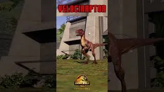 Miniature : VELOCIRAPTOR JWE comparison ! Jurassic World Evolution 3 #jurassicworldevolution3  #jurassicpark