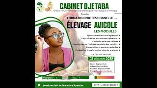 Miniature : L’Élevage Avicole en Afrique : La Vérité CHOQUANTE Que Tout le Monde Ignore #afrique