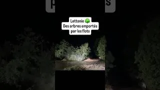 Miniature : Lettonie, des arbres emportés par une rupture de barrage