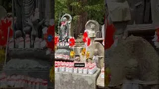 Miniature : LA RÉGION banger SOUS-CÔTÉ DU JAPON ? 😳♨️🍡⭐️