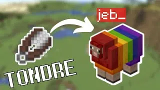 Miniature : Comment est la LAINE d'un MOUTON JEB_? #shorts