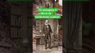 Miniature : Edward Blyth | Zoologiste 🔬