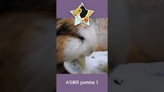 Miniature : StarCacahouette Bonus - ASMR pomme1