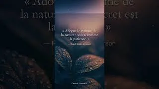 Miniature : La nature ne se presse pas · Patience nocturne #Shorts