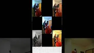 Miniature : Antonín Dvořák - Symfonie č. 9 e moll "Z nového světa" - Extrait du 2ème mouvement - 5 Contrebasses