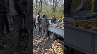 Miniature : Au cœur du terrain avec les BTSA GPN | Chantier nature sur le terril de Libercourt