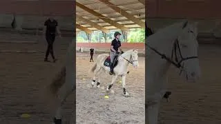 Miniature : 🎥 Immersion avec les CAPA Palefreniers Soigneurs au Centre Hippique de Nice 🐴