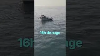Miniature : Un requin pendant ma traversée de la Manche !? 🦈