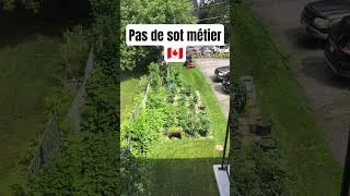Miniature : Il n'y a pas de sot métier dans le monde.le paysagement un metier qui paie bien au Canada #shorts