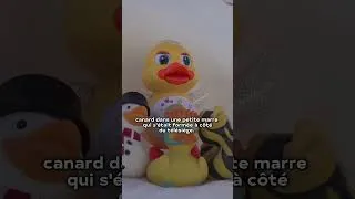 Miniature : Les canards de Planachaux, stars des Portes du soleil