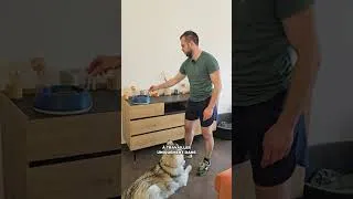 Miniature : Ton chien écoute dedans mais pas dehors ?