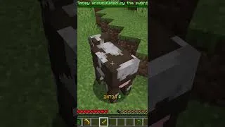 Miniature : Mon XP se TRANSFORME en ARGENT ! #shorts #minecraft