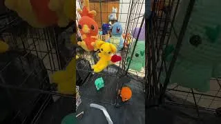 Miniature : Convention Mang’Azur Toulon #geekgirl