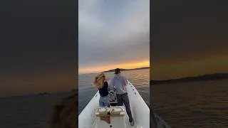 Miniature : TOUJOURS VERS LE SOLEIL. 🦈 #boating #frenchriviera #captain #sunset