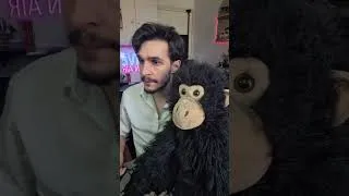 Miniature : Pokopia avec Jacob on ne voit pas le temps passer ! 🙈😱 #pokopia #nintendo #ventriloque #twitchfr