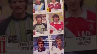 Miniature : LA contrepartie ultime de la campagne Ulule pour mon livre sur l'histoire de Panini est dispo !