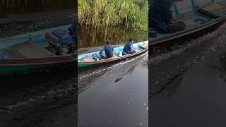 Miniature : On se reveille sur un bateau au milieu de la jungle de Borneo 🍃 🇮🇩 #croisiere #borneo #kalimantan