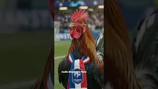 Miniature : Biopilates Universe By Caroline | Gandour, Bambou & Scooby – Fair-play avec l'Angleterre