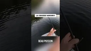 Miniature : carpe division #pêche #carpe #carpfishing