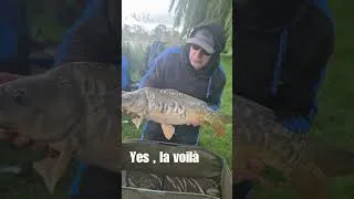 Miniature : 🎥🎞pêche au method sous la pluie 🤟💪 #fishing #carpe #carp