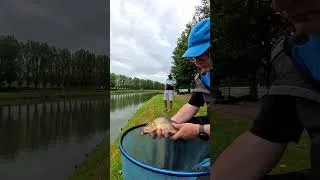 Miniature : 🎥🎞Spomb et method, voici le résultat 🤟💪