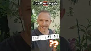 Miniature : FLASH-EXO 57 : Vrai-Faux norme matricielle (spé/L2)