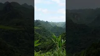 Miniature : Cat Ba National Park: Is the Hike REALLY Worth It? 🇻🇳