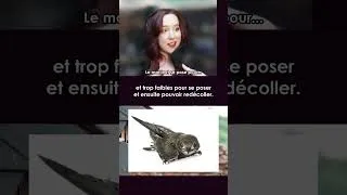 Miniature : ça c'est de l'endurance! 😮